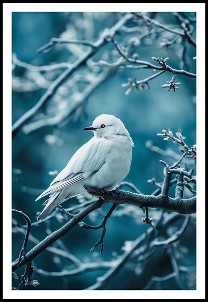 Plakat 61x91,5cm Perłowy Ptak zdjęcie 3