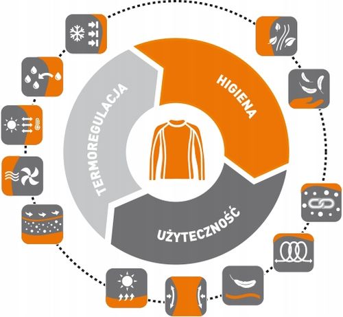 BRUBECK TERMOAKTYWNE BOKSERKI DAMSKIE SZORTY WEŁNA MERINO ACTIVE WOOL M na Arena.pl