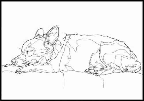 Plakat 100x70cm Śpiący Psiak na Arena.pl