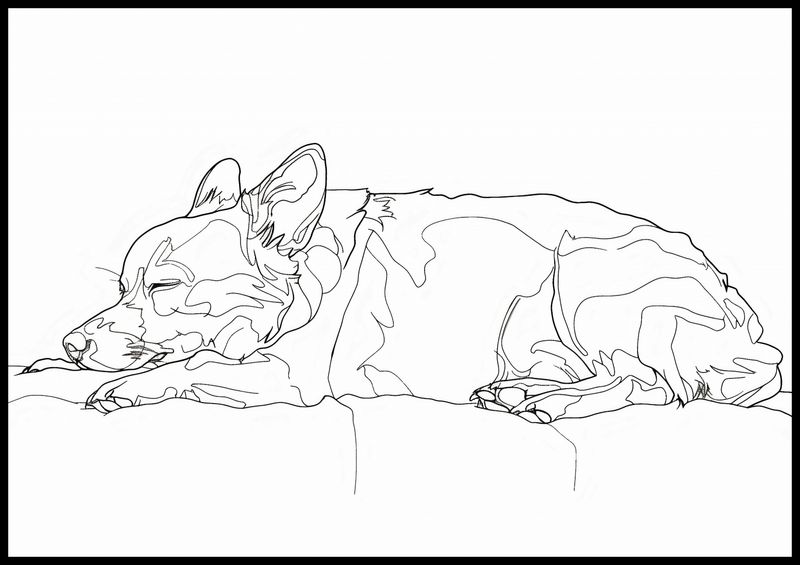 Plakat 100x70cm Śpiący Psiak zdjęcie 2