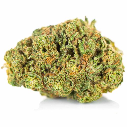 CBD SUSZ KONOPNY GORILLA GOLD PREMIUM PRODUKT NATURALNY 1 g na Arena.pl