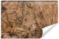 product-compare-55829791