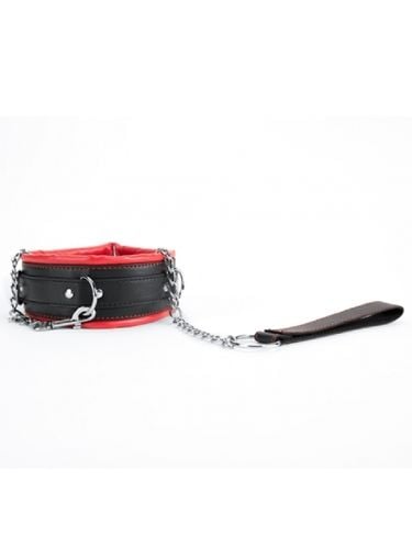red collar and leash na Arena.pl