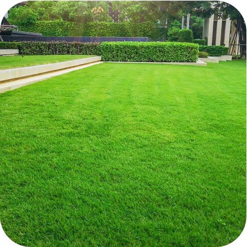 NAWÓZ DO TRAWNIKA do Trawników 5kg BEZCHLORKOWY GRANULOWANY ROSAFERT na Arena.pl