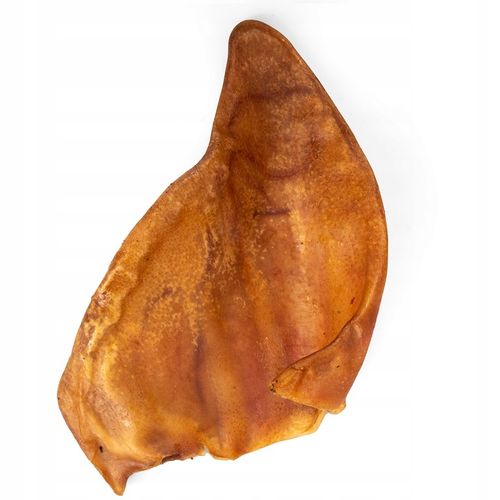 HOCKY Przekąska Przysmak Suszony Gryzak dla Psa Ucho Wieprzowe 10 szt. na Arena.pl