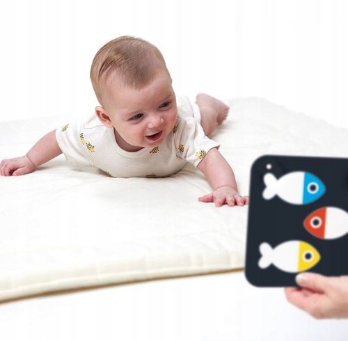 CzuCzu Karty Kontrastowe Książeczki na Sznureczku dla Malucha 0m+ 3m+ na Arena.pl