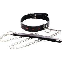 collar with detachable leash