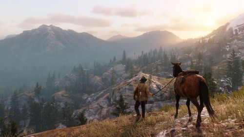RED DEAD REDEMPTION 2 PL PS4 gra Nowa na Arena.pl