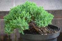 product-compare-59807022