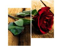 60X60CM RÓŻA UKOCHANEJ DWU OBRAZ ŚCIAN