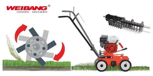 WEIBANG WB486CRB WERTYKULATOR SPALINOWY DO TRAWY PROFI PROFESJONALNY Briggs&Stratton WB486 / WB 486 -  EWIMAX - OFICJALNY DYSTRYBUTOR - AUTORYZOWANY DEALER WEIBANG na Arena.pl