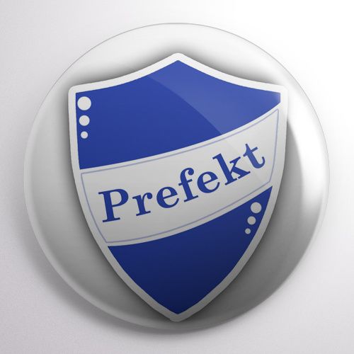 Przypinka Harry Potter na Arena.pl