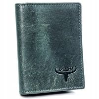Męski portfel etui na karty banknoty Buffalo Wild