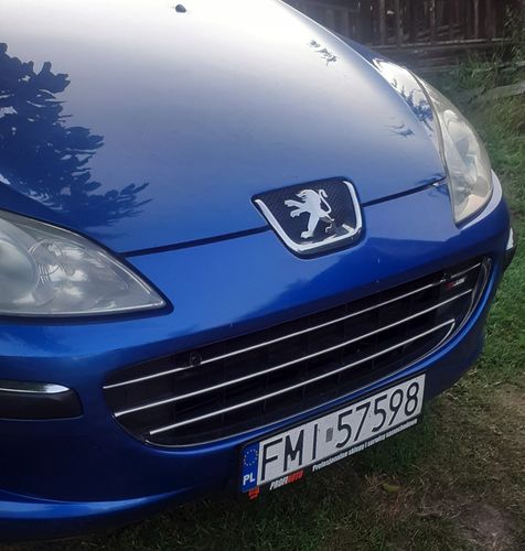 Peugeot 407 - Listwy CHROM na GRILL atrapa 3 szt Tuning Chromowane na Arena.pl