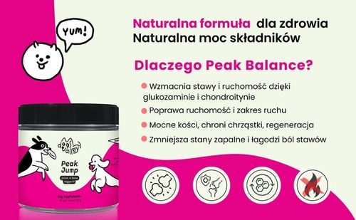 Suplementy dla psa - Kości Stawy Aktywność dla Senior MSM - Witaminy 90szt na Arena.pl