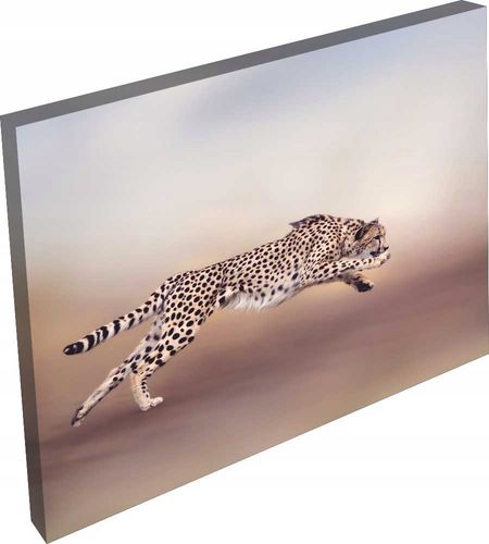 OBRAZ na płótnie zwierzęta kot do pokoju salonu na Arena.pl