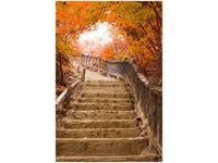 40X60CM JESIENNY SPACER OBRAZ