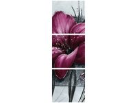 90X30CM MAKOWY DUET TRÓJ OBRAZ DRUK