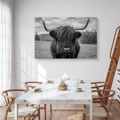 Obraz Do Sypialni Krowa Szkocka Na Tle Traw Czarno-Biały 90cm x 60cm na Arena.pl