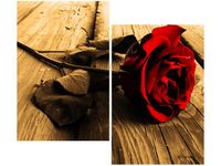 product-compare-58655398