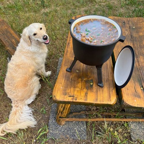 KOCIOŁEK ŻELIWNY EMALIOWANY GARNEK myśliwski węgierski 10L OGNISKO GRILL na Arena.pl