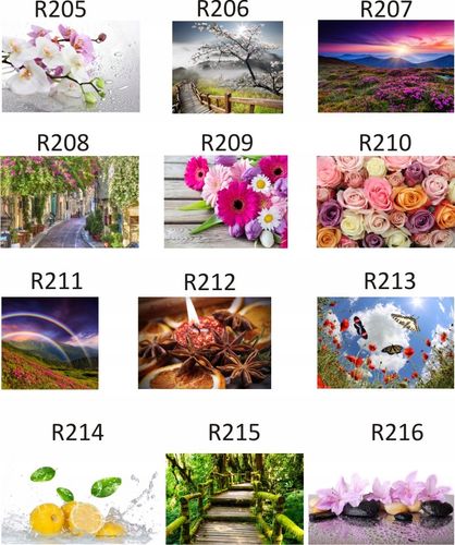 FOTOTAPETA rosliny KWIATY róże DUŻY WYBÓR WZORÓW na Arena.pl