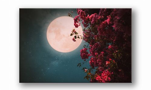 OBRAZ NA PŁÓTNIE 049 Księżyc 30x20cm na Arena.pl