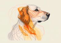 Plakat 29,7x21cm Kontur Profilowego