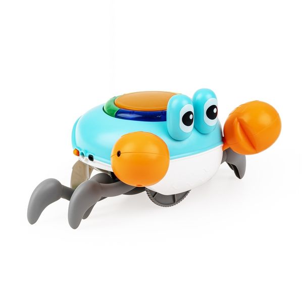 KRAB MĄDRALA DUMEL zdjęcie 1