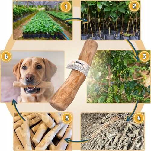 PATYK Z DRZEWA KAWOWEGO M NATURALNY KAWOWY GRYZAK DLA PSA WYTRZYMAŁY ŚREDNI na Arena.pl