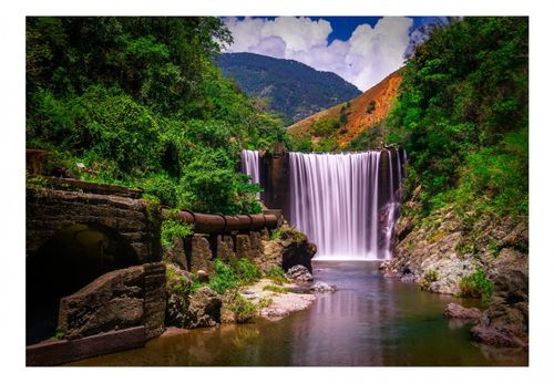 Fototapeta - Reggae Falls - 100X70 na Arena.pl