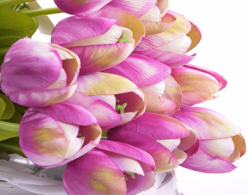 Tulipan 55cm fioletowy na Arena.pl