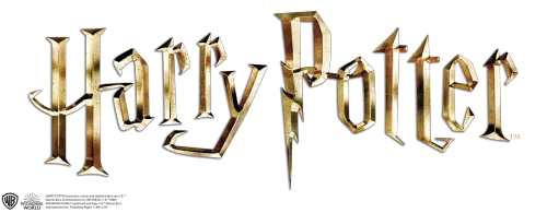 Prosta gra towarzyska na spostrzegawczość Dobble Harry Potter - Znajdź parę na Arena.pl