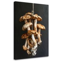 Obraz do kuchni restauracji baru jadalni, Suszone grzyby leśne