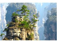 product-compare-58693951