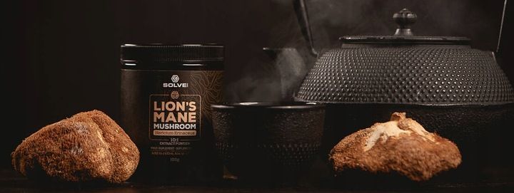 Solve Labs Lion's Mane Soplówka jeżowata 10:1 Mushroom Powder 100g zdjęcie 4