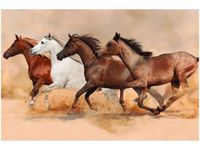 OBRAZ KONIE BIEGNĄCE GALOPEM