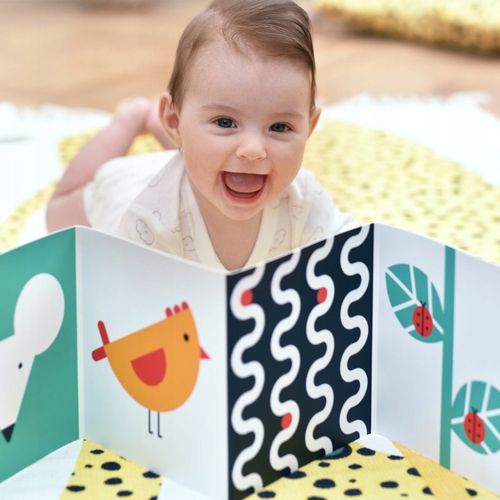 CZUCZU STARTER MALUCHA KSIĄŻECZKI SENSORYCZNE KONTRASTOWE 0M+ na Arena.pl