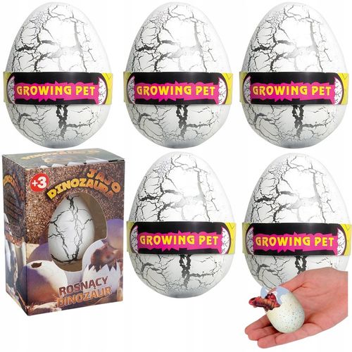 5x JAJO jajko dinozaura wykluwający rosnący DINOZAUR DUŻE NA PREZENT na Arena.pl
