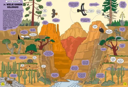 O rety! Przyroda świata na Arena.pl