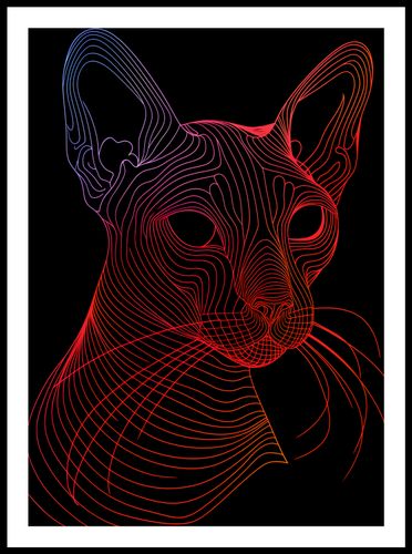 Plakat 50x70cm Cyfrowa Kocica na Arena.pl