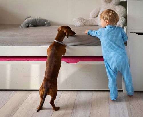 FOLIA OCHRONNA BEZBARWNA Drzwi Meble PRZECIW DRAPANIU Samoprzylepna 50x100 na Arena.pl