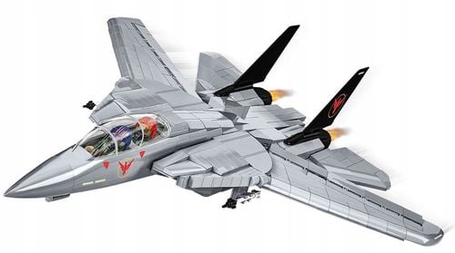 Top Gun - Grumman(R) F-14 Tomcat na Arena.pl