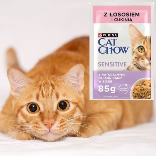 karma mokra dla wrażliwych kotów cat chow sensitive łosoś z cukinią 85 g na Arena.pl