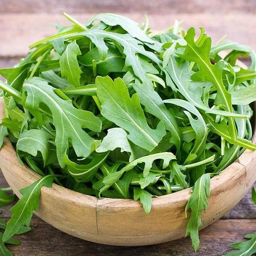 Rukola Dzika Wieloletnia Nasiona Soczyste Pikantne Liście Sałatek Kanapkę 1 na Arena.pl