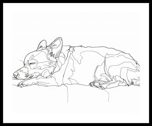 Plakat 50x40cm Śpiący Psiak na Arena.pl