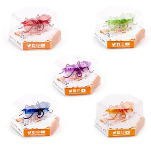 Hexbug Mikro mrówka na Arena.pl