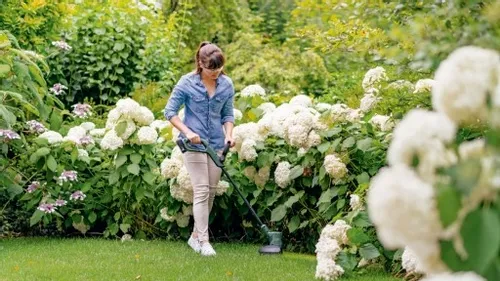 PODKASZARKA AKUMULATOROWA 26cm 18V BOSCH 2x2,5Ah na Arena.pl