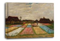 Flower Beds in Holland, Vincent van Gogh - obraz na płótnie 30x20 cm