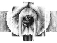 105CM 150CM OBRAZ 5 ELEM BALETNICA CZERNI BIELI DRUK